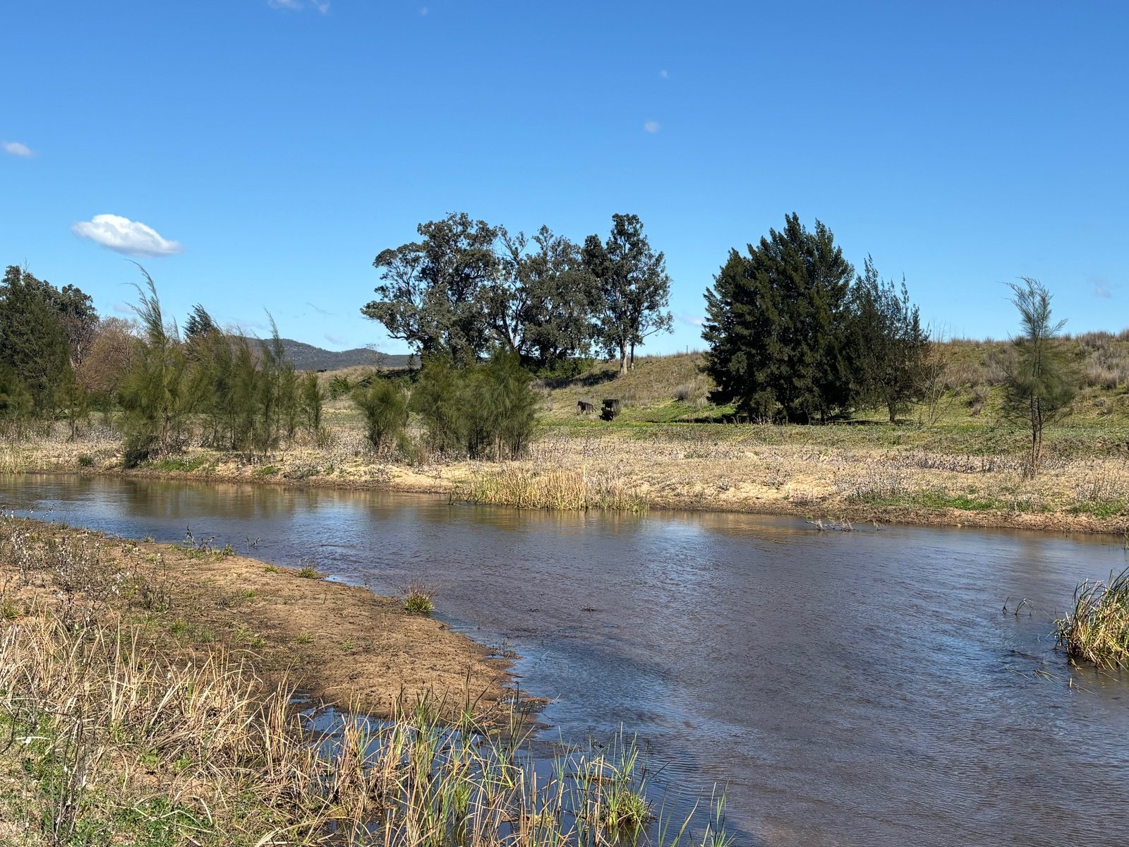 560 Mt Dangar Road BAERAMI 2