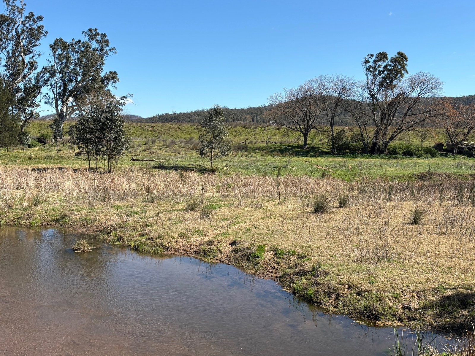 560 Mt Dangar Road BAERAMI 3