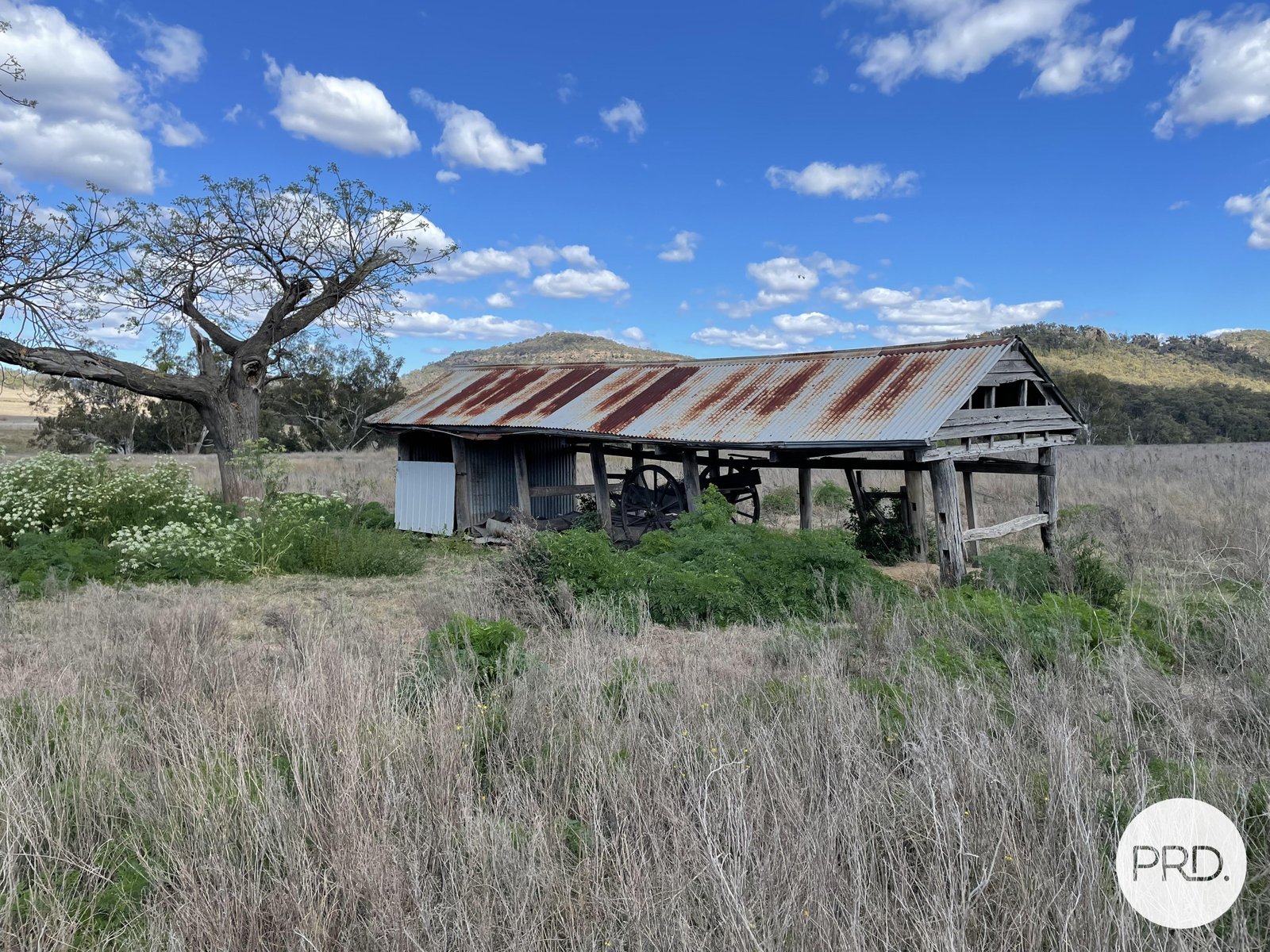 560 Mt Dangar Road BAERAMI 5