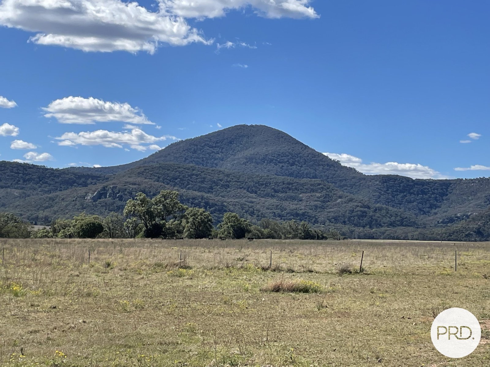 560 Mt Dangar Road BAERAMI 6