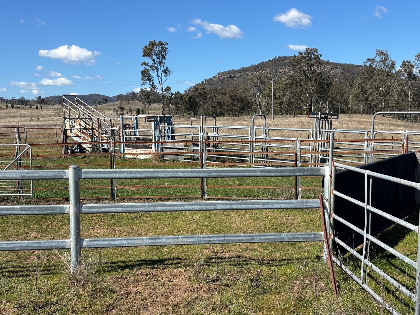 560 Mt Dangar Road BAERAMI 7