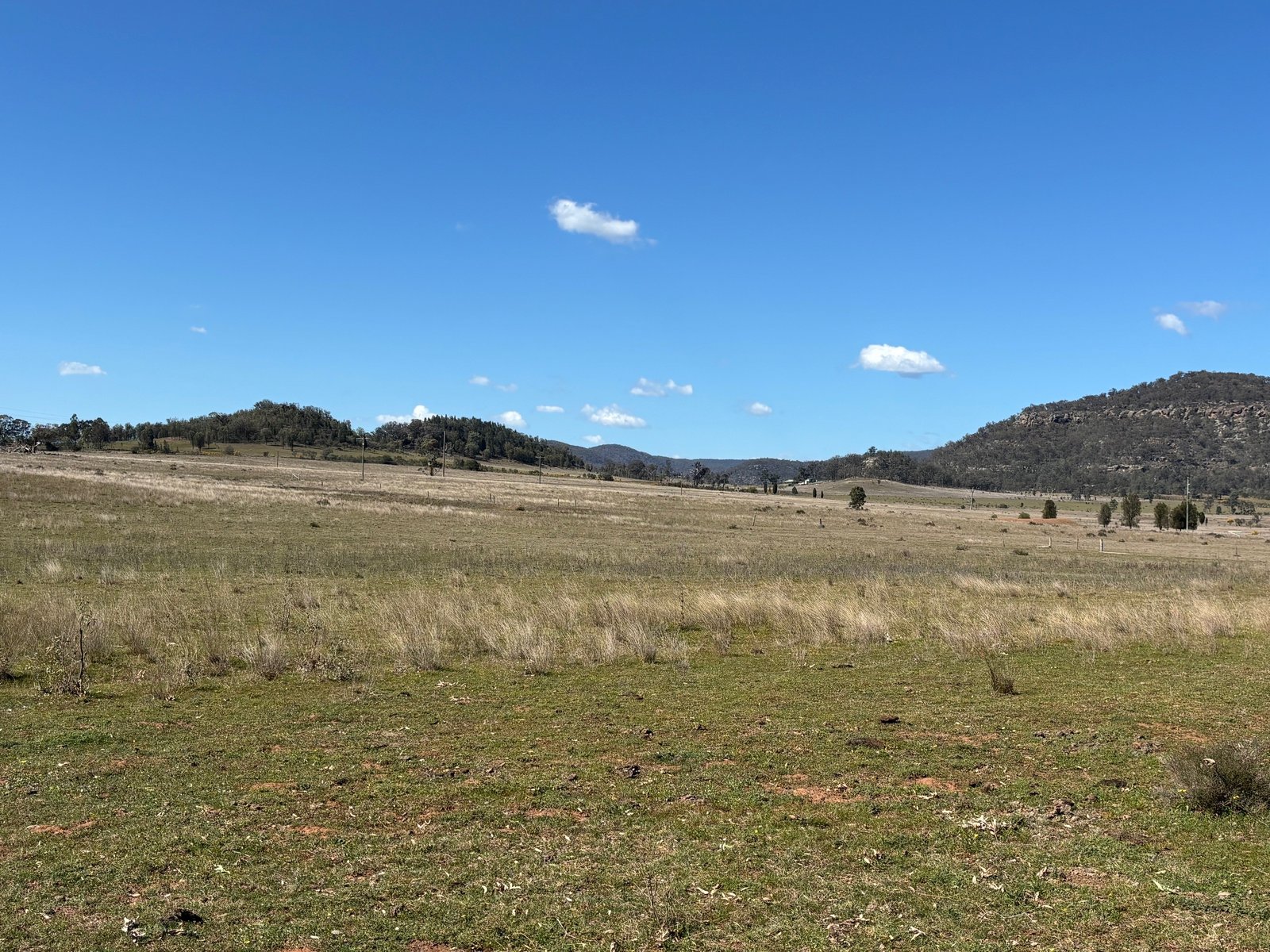 560 Mt Dangar Road BAERAMI 8