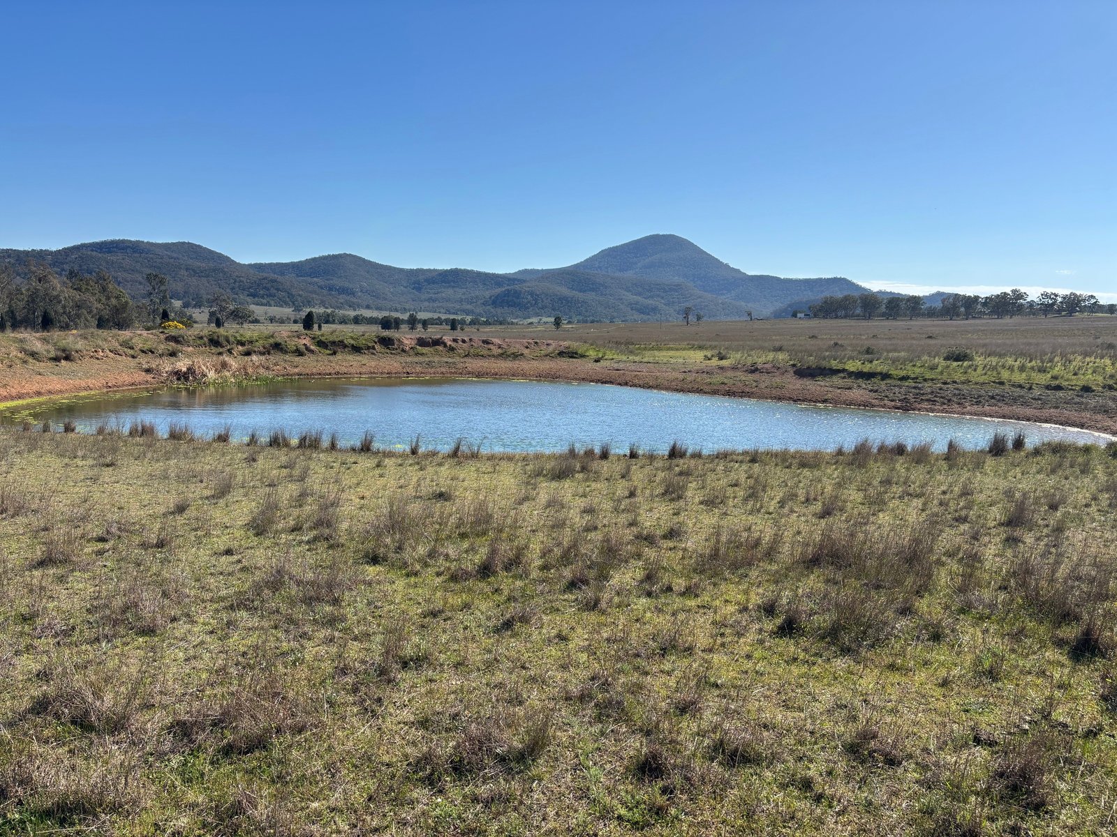 560 Mt Dangar Road BAERAMI 9