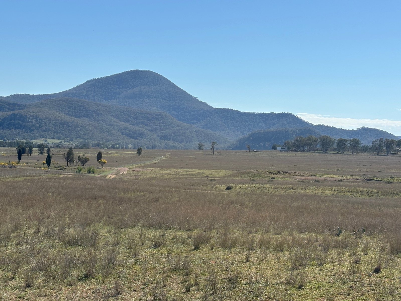 560 Mt Dangar Road BAERAMI 10