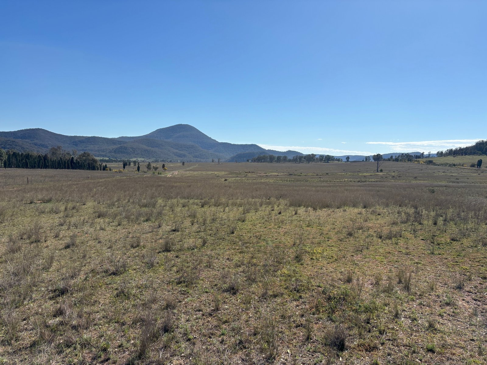 560 Mt Dangar Road BAERAMI 11