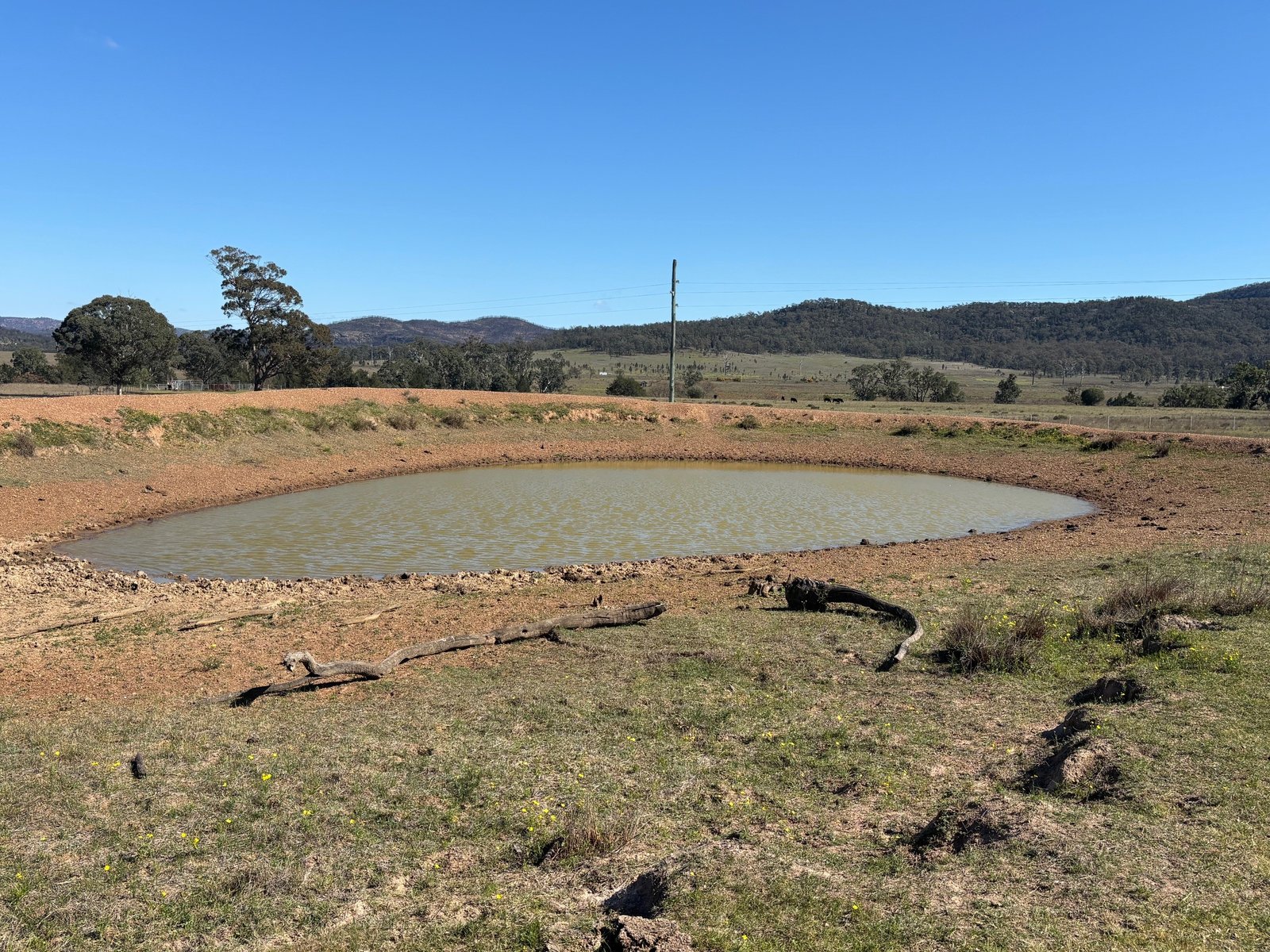 560 Mt Dangar Road BAERAMI 12