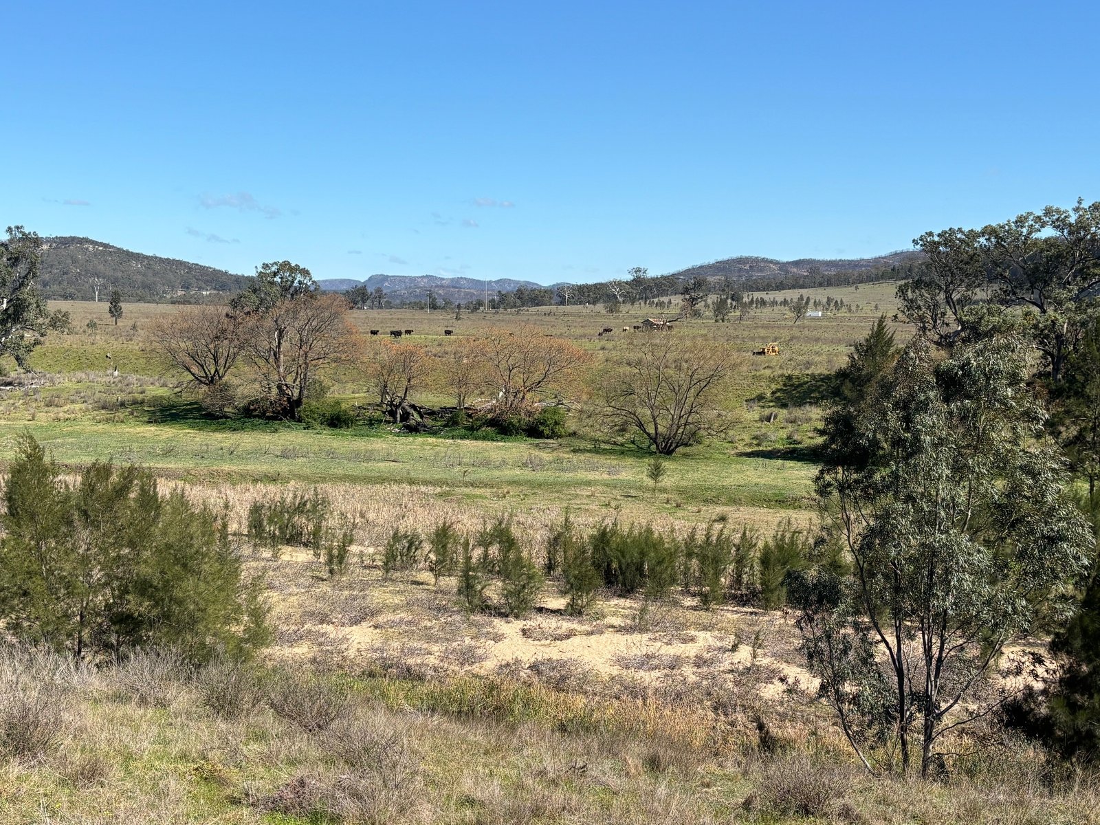 560 Mt Dangar Road BAERAMI 13