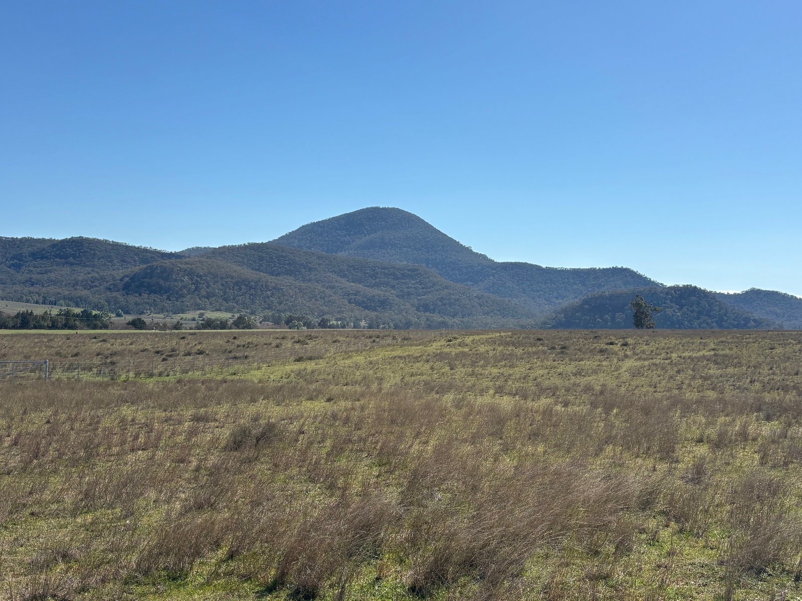 560 Mt Dangar Road BAERAMI 14