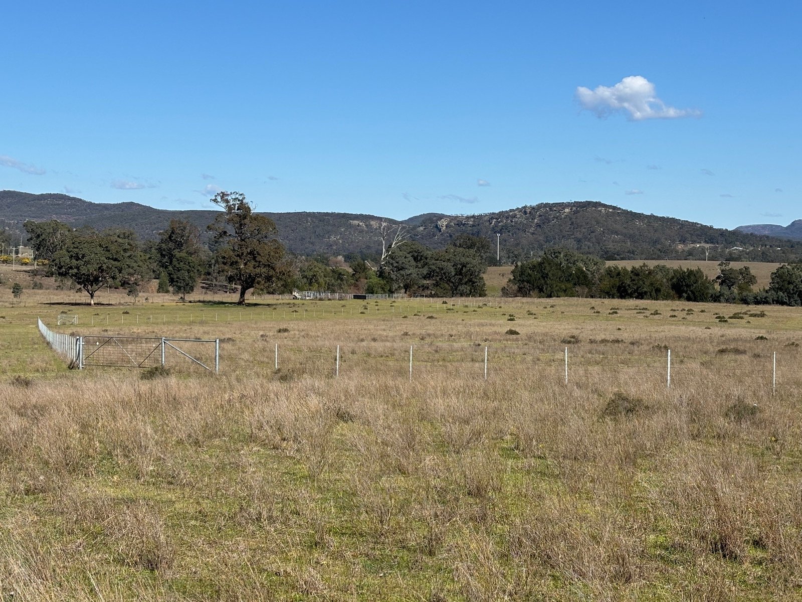 560 Mt Dangar Road BAERAMI 16