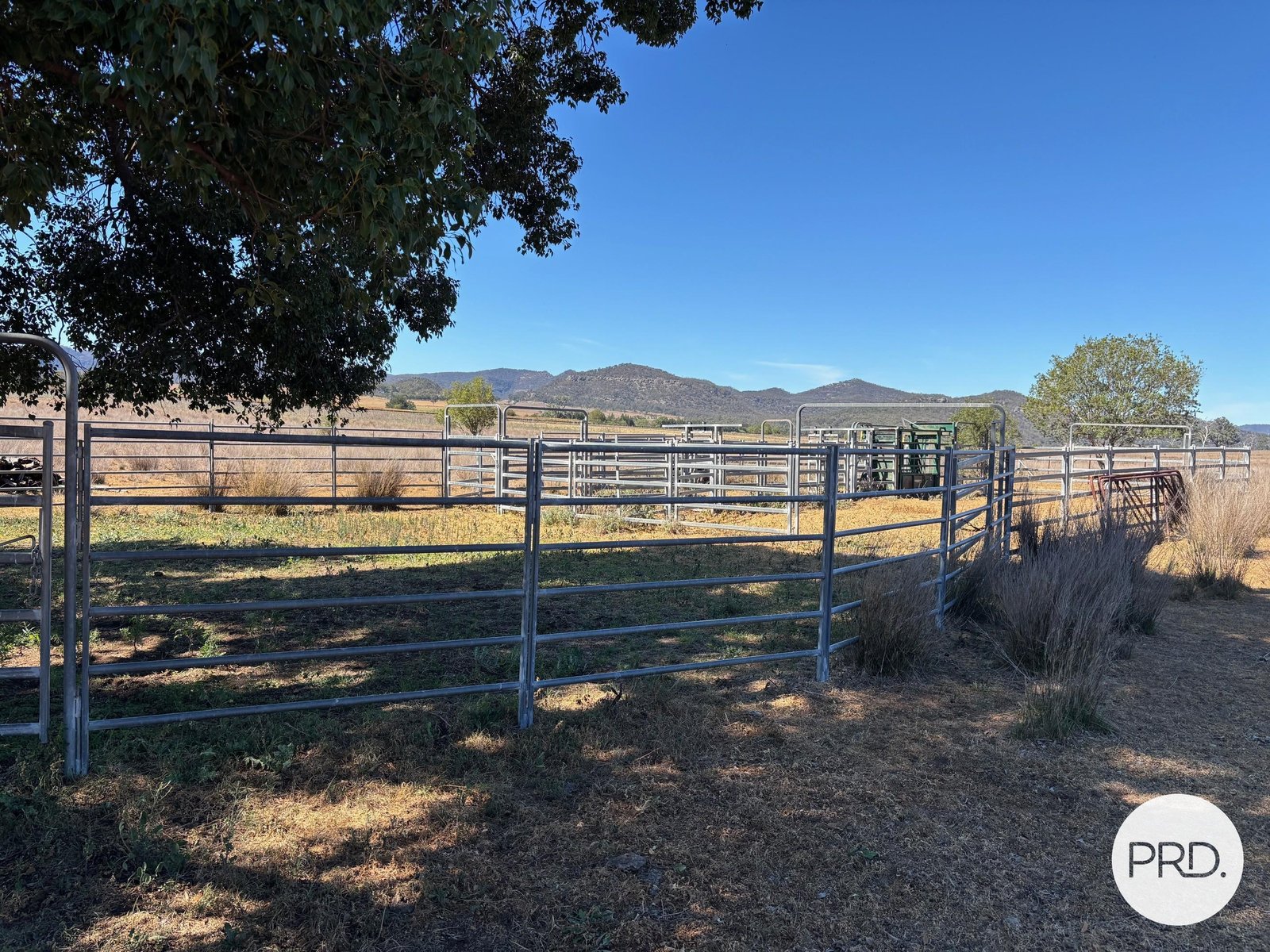 560 Mt Dangar Road BAERAMI 19