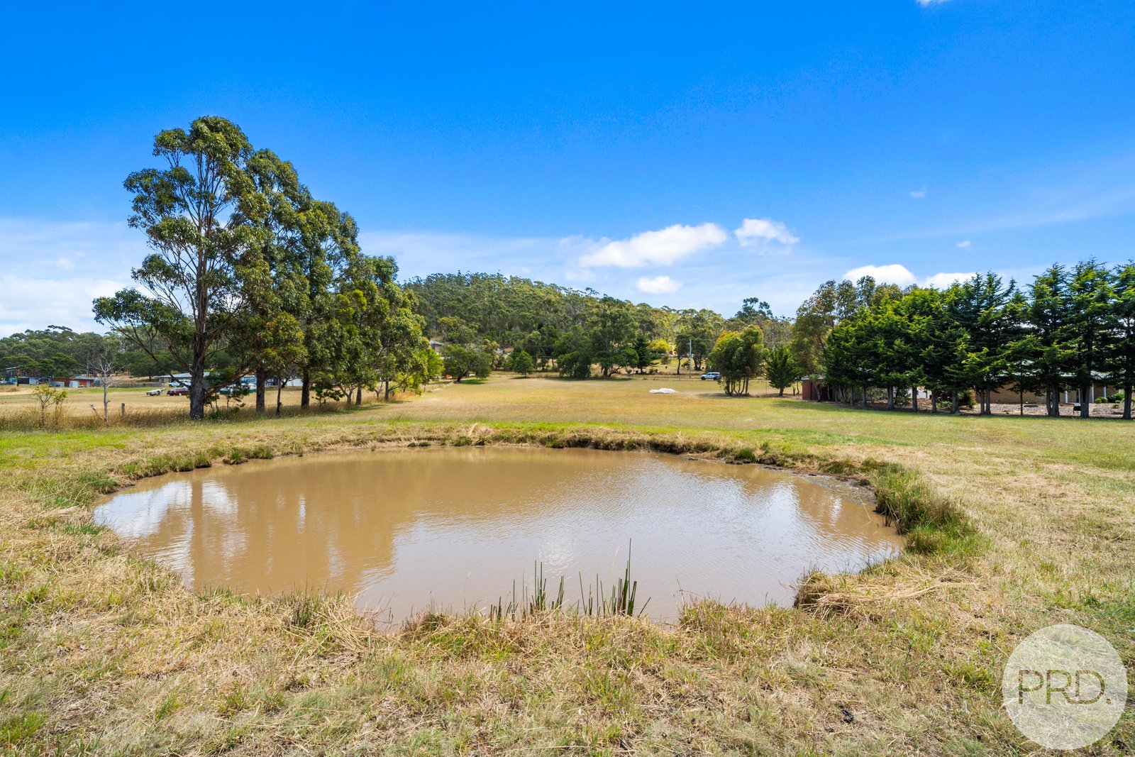 560 Rifle Range Road SANDFORD 12