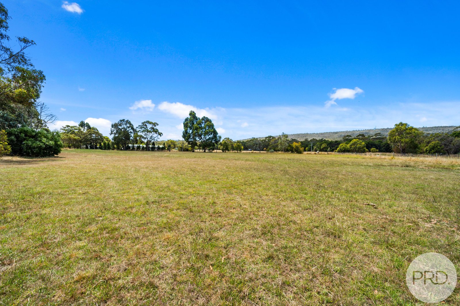 560 Rifle Range Road SANDFORD 13
