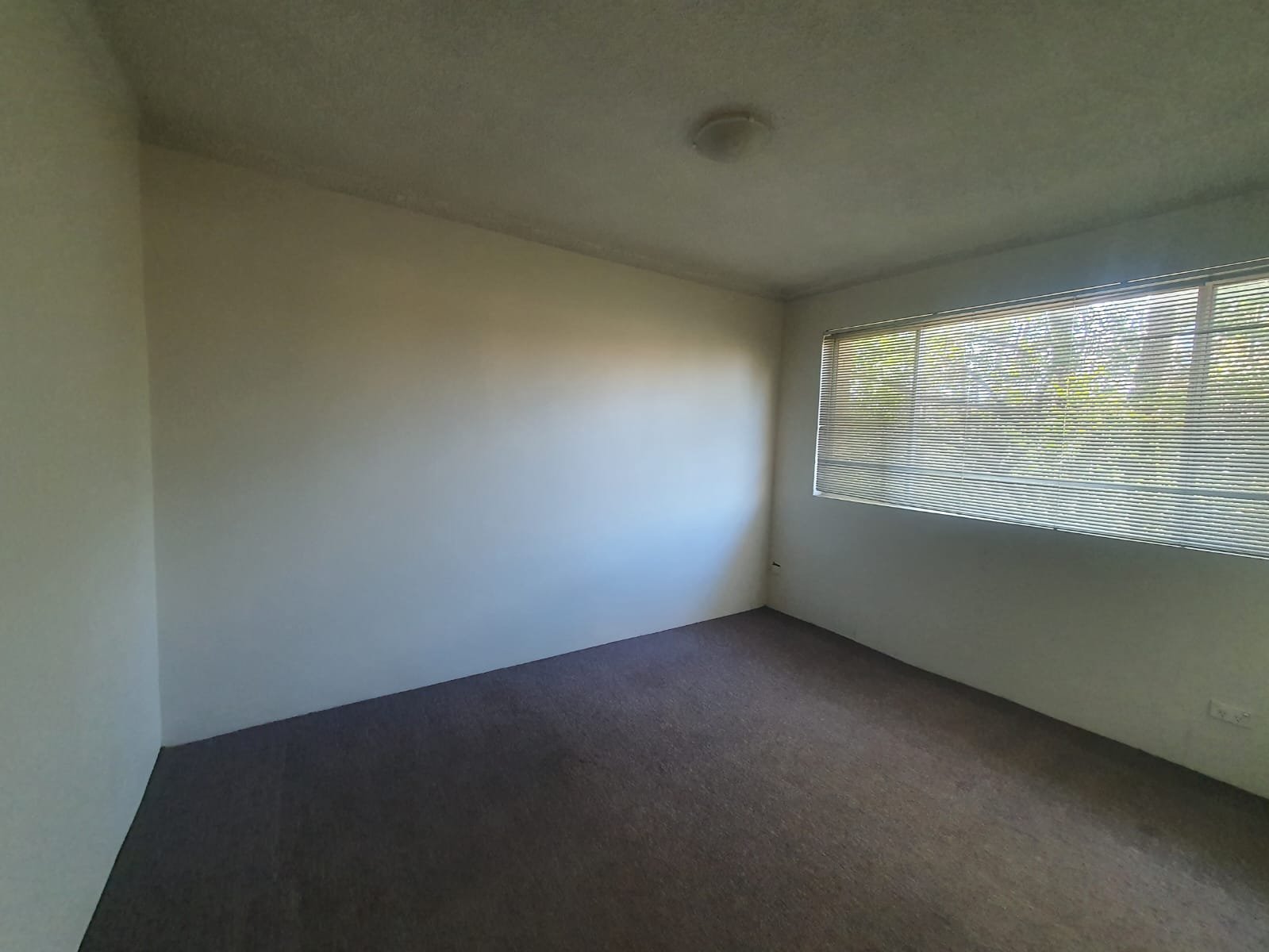 5/61 Castlereagh Street LIVERPOOL 4