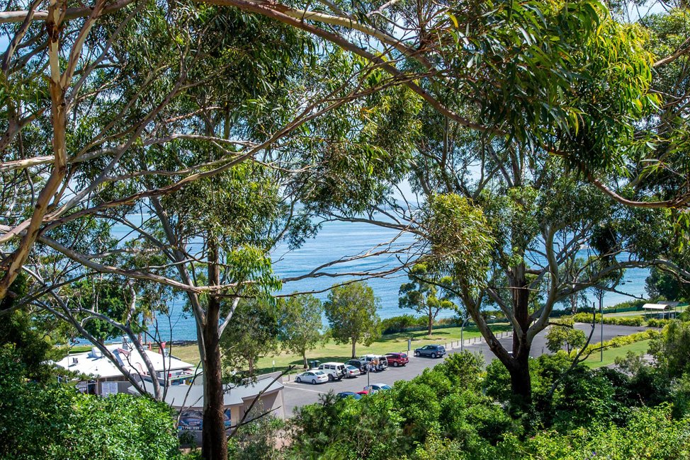 5/62-64 Magnus Street NELSON BAY 5