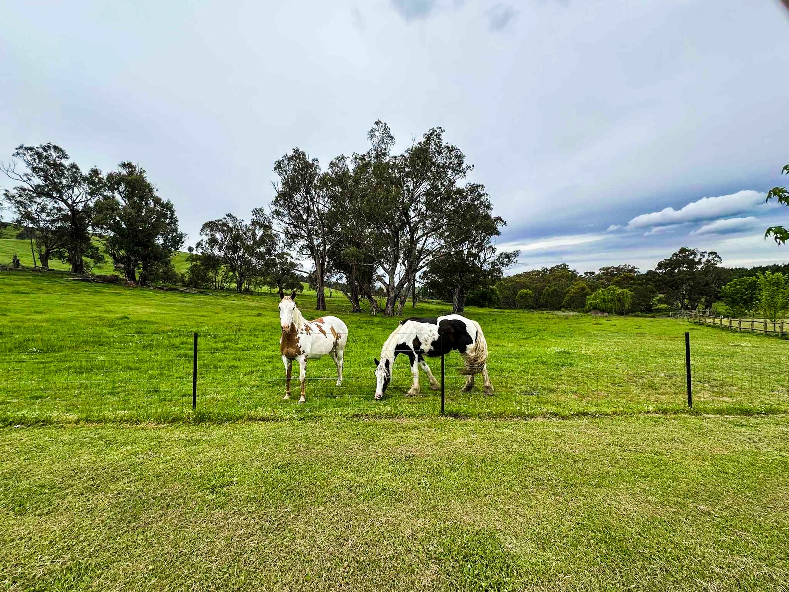 562 Walteela Road TUMBARUMBA 23