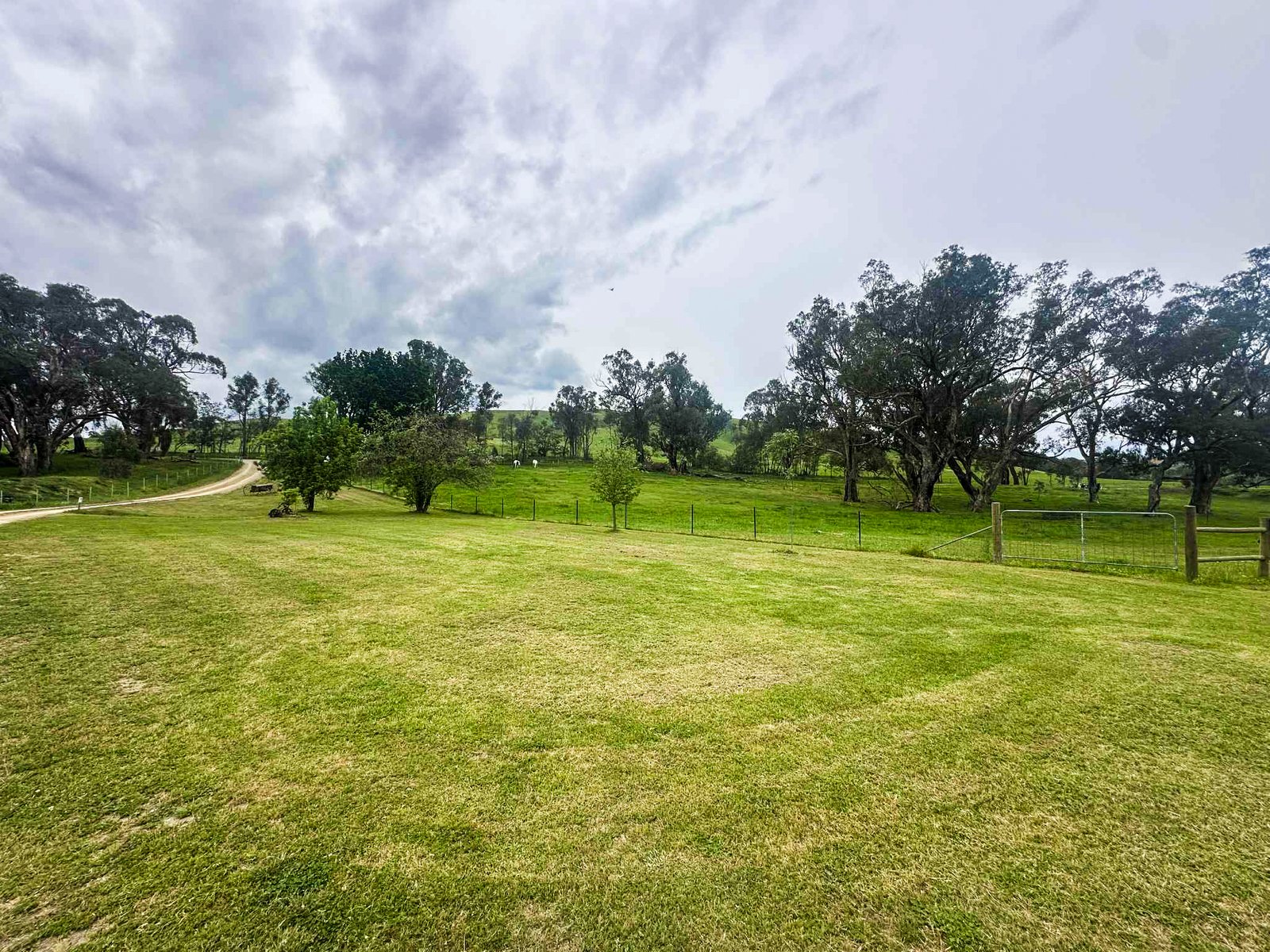 562 Walteela Road TUMBARUMBA 24