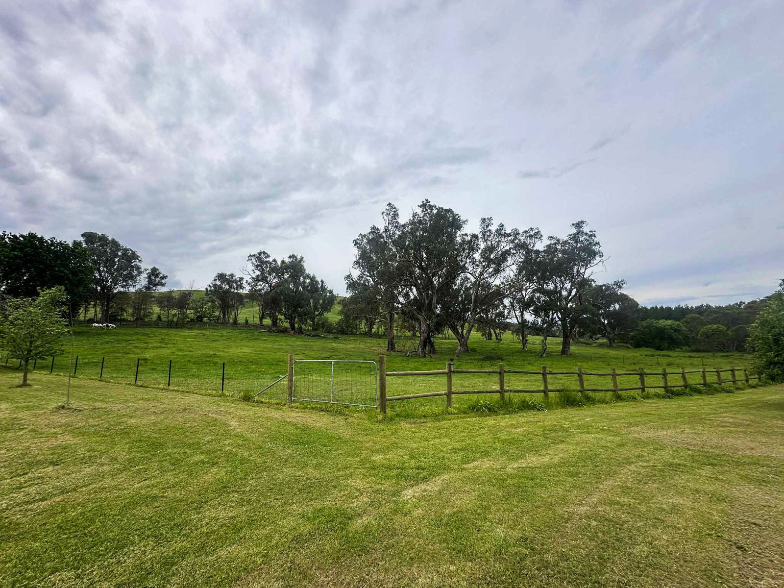 562 Walteela Road TUMBARUMBA 25