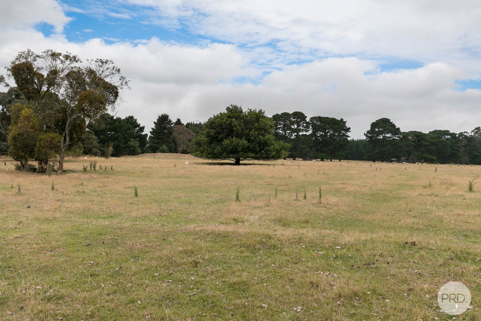 5621 Midland Highway ELAINE 14