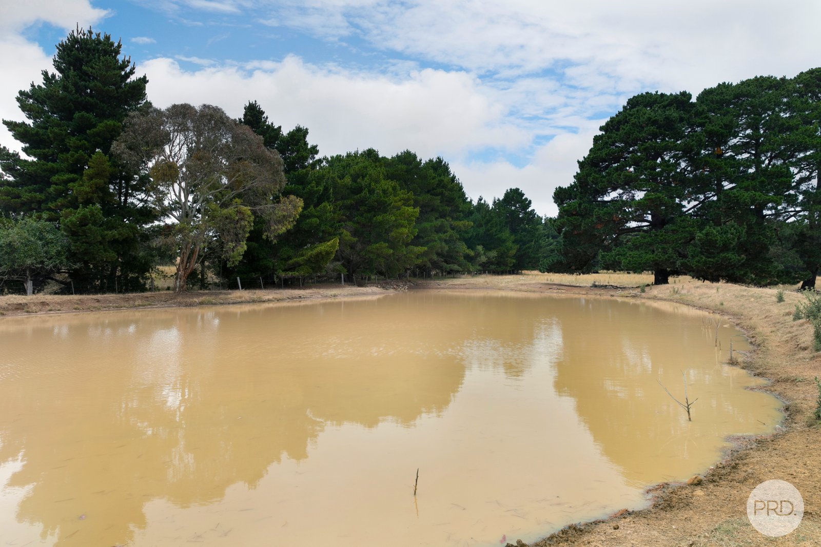 5621 Midland Highway ELAINE 16