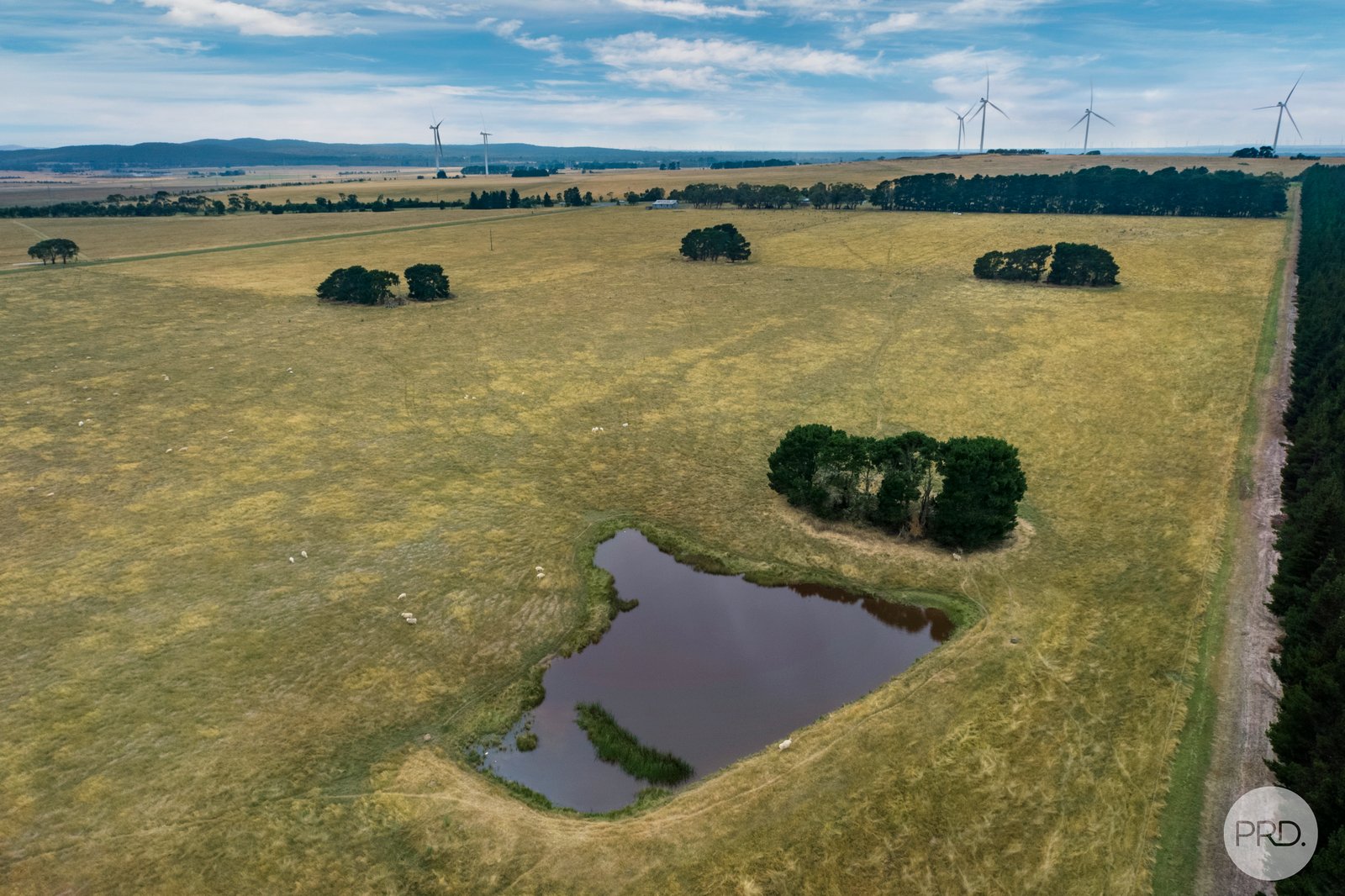 5621 Midland Highway ELAINE 17