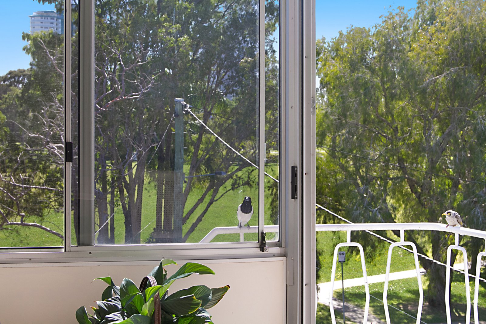 5/63 Stapylton Street COOLANGATTA 2