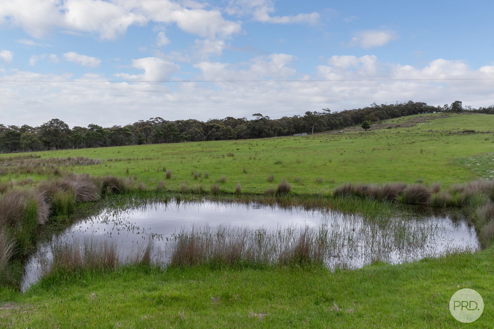 565 Derwent Jacks Road BERRINGA 16