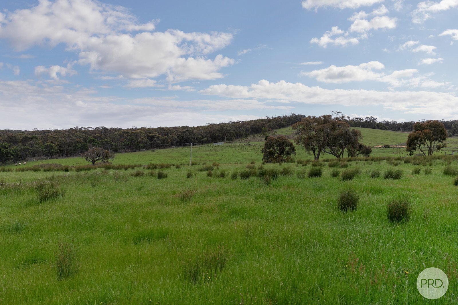 565 Derwent Jacks Road BERRINGA 18