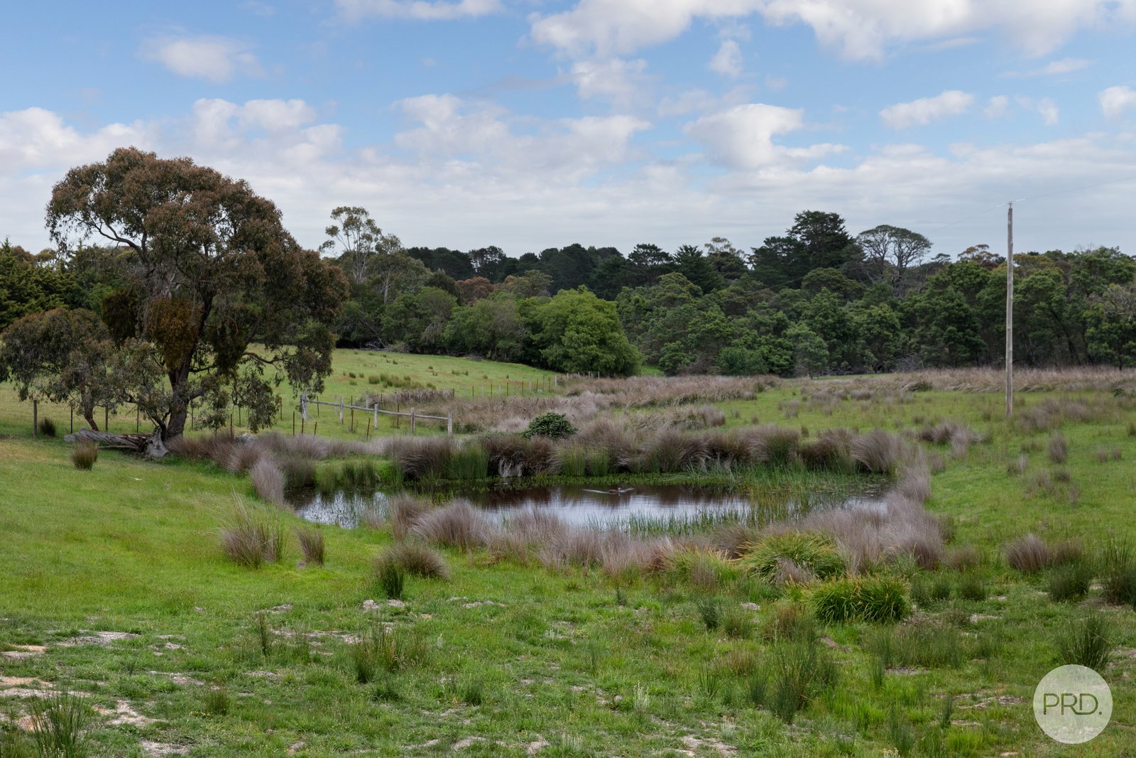 565 Derwent Jacks Road BERRINGA 19