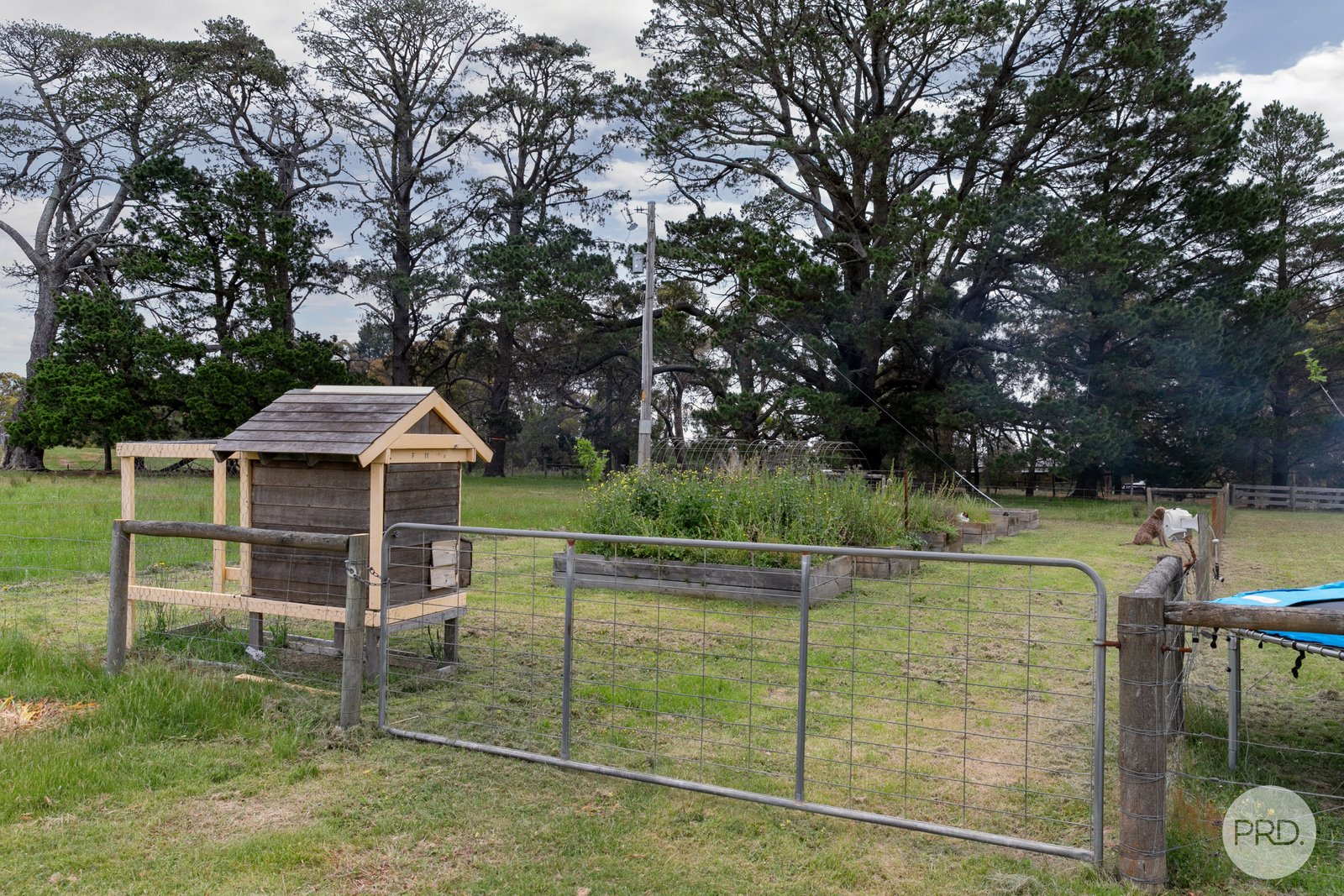 565 Derwent Jacks Road BERRINGA 21