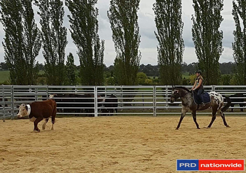 565 Plains Road HOSKINSTOWN 12