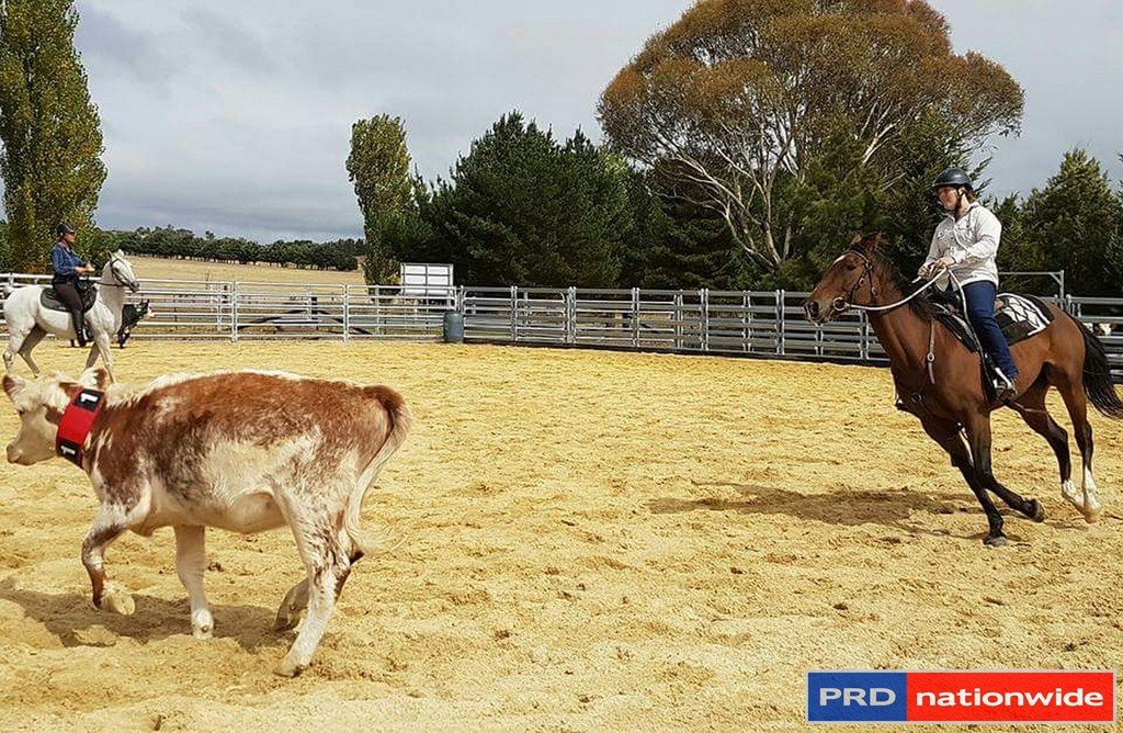 565 Plains Road HOSKINSTOWN 13