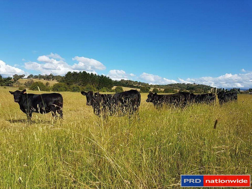 565 Plains Road HOSKINSTOWN 15