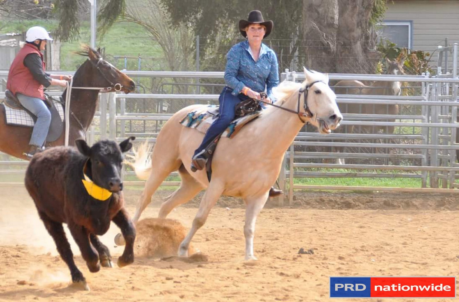 565 Plains Road HOSKINSTOWN 16