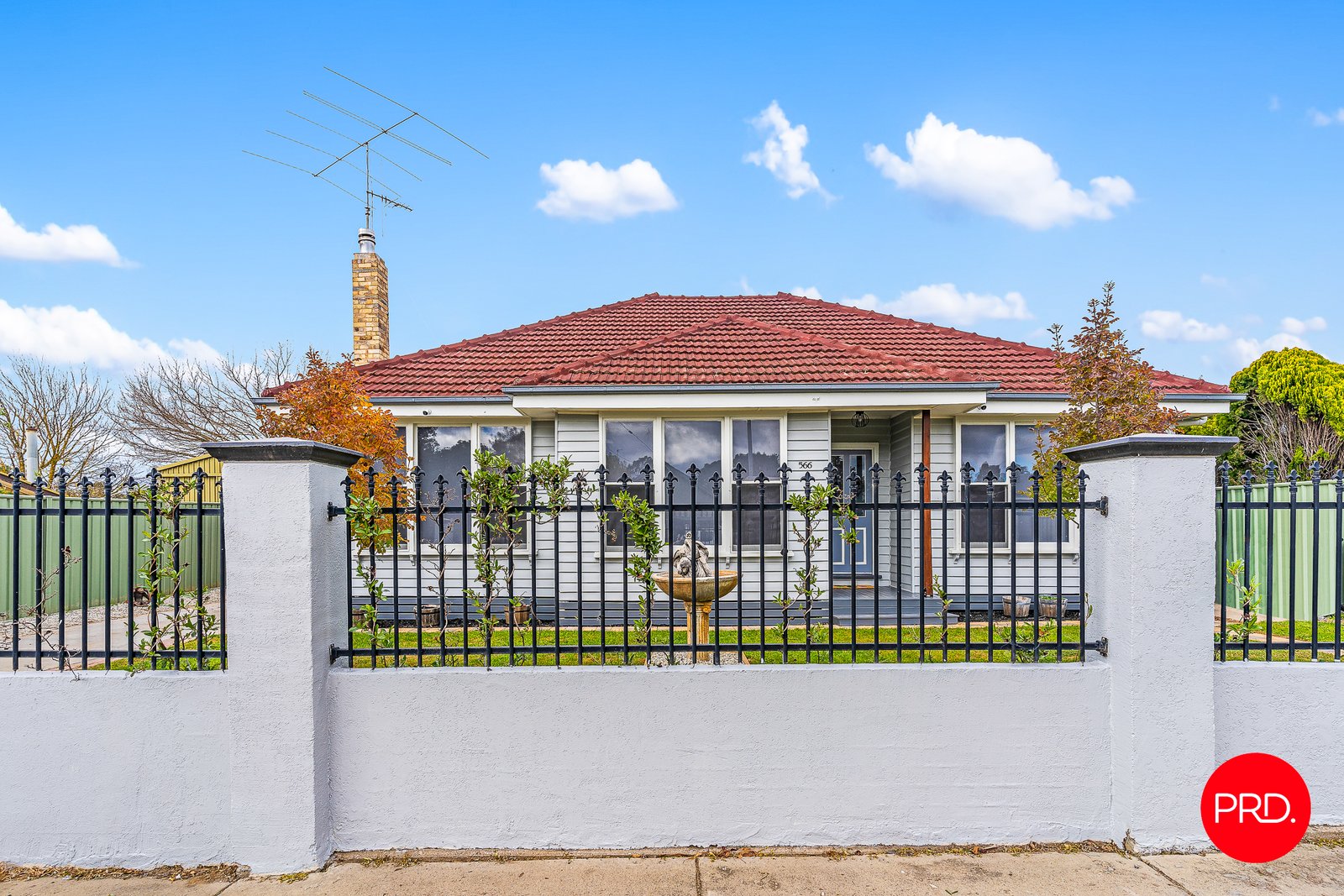 566 Napier Street WHITE HILLS 1