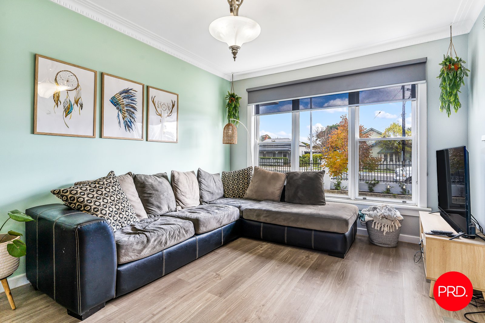 566 Napier Street WHITE HILLS 5