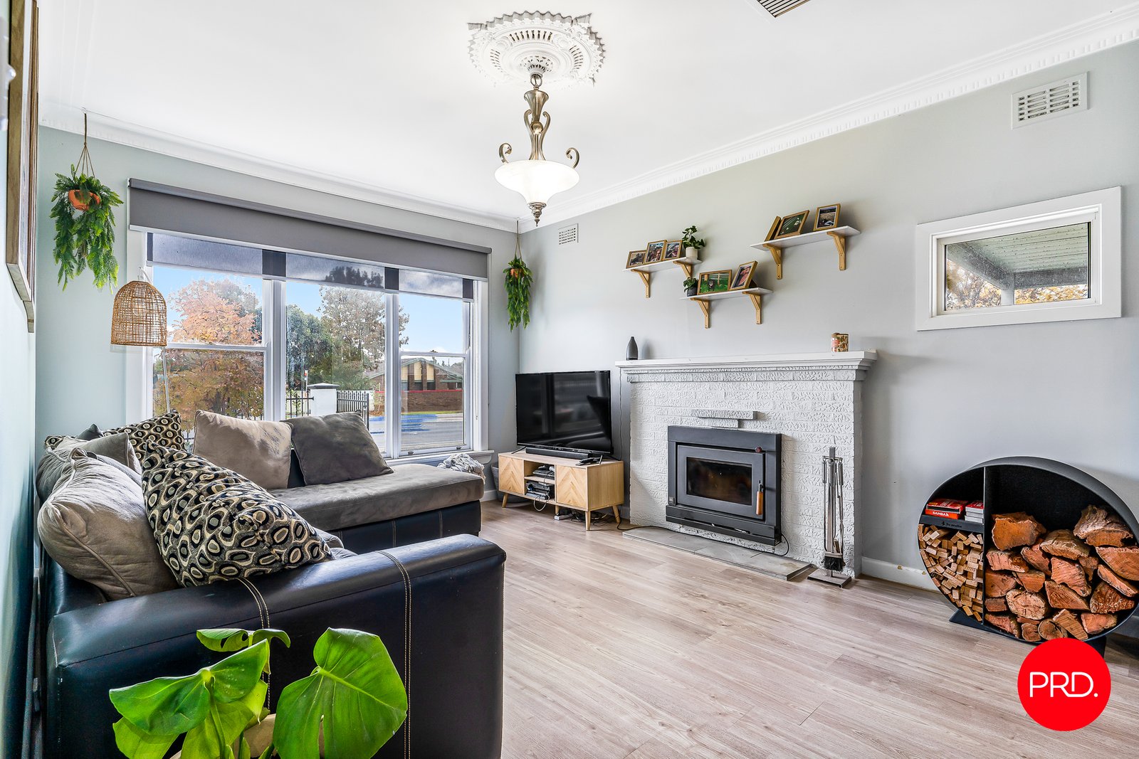 566 Napier Street WHITE HILLS 6