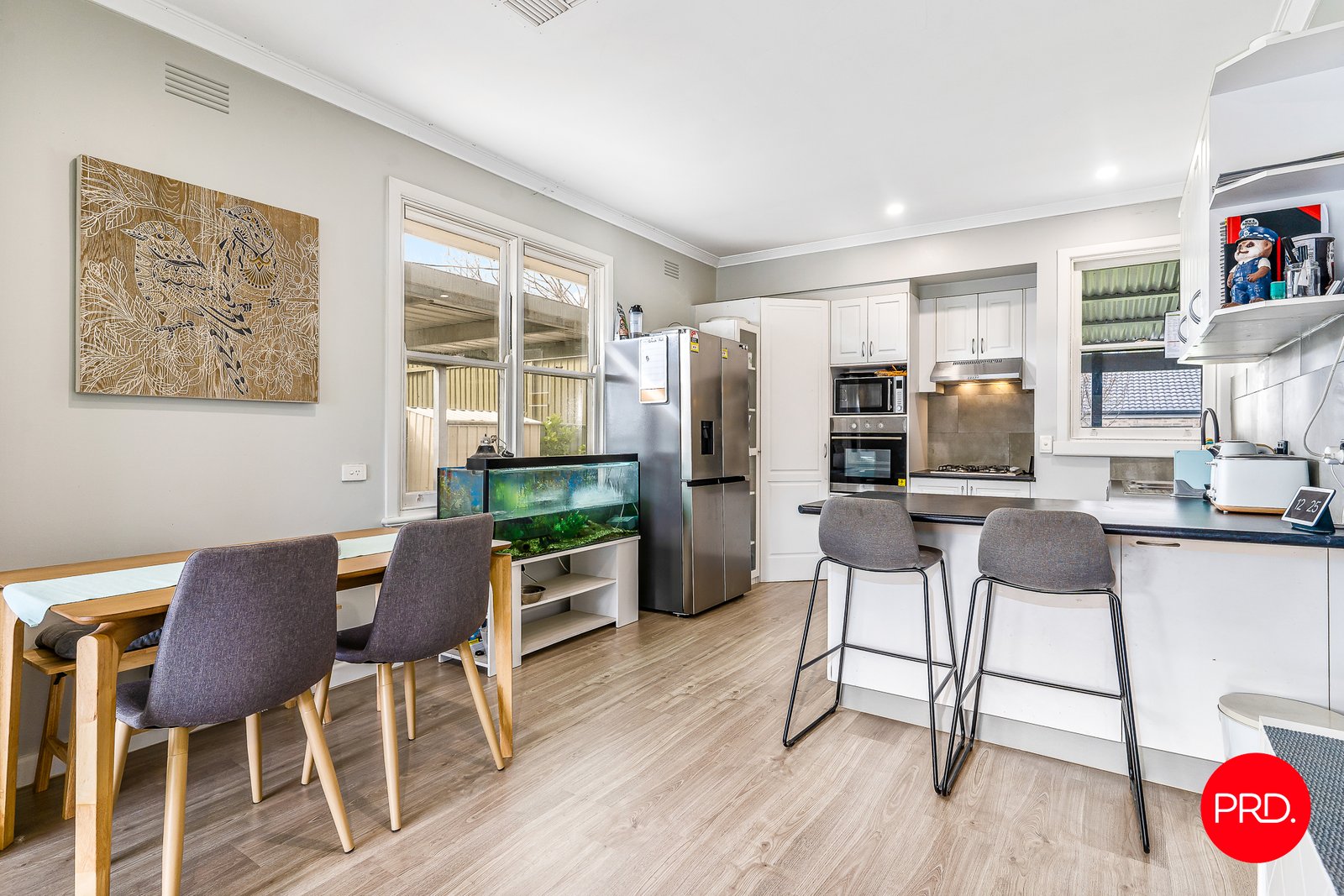 566 Napier Street WHITE HILLS 7