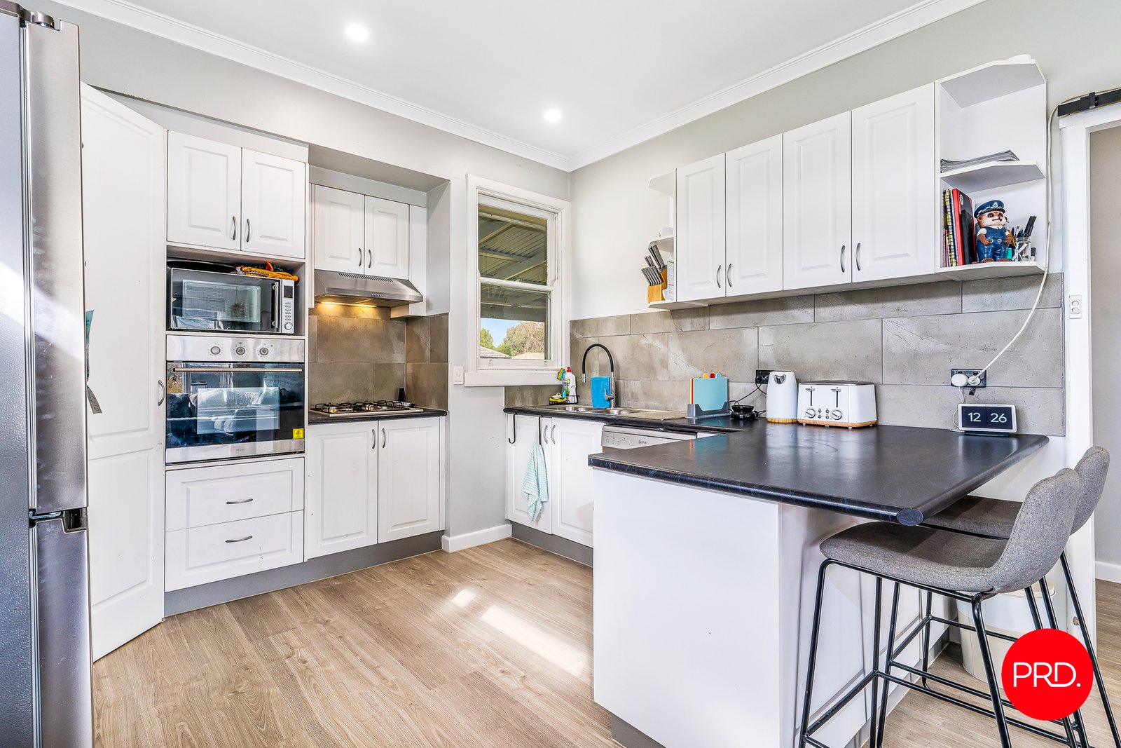 566 Napier Street WHITE HILLS 8