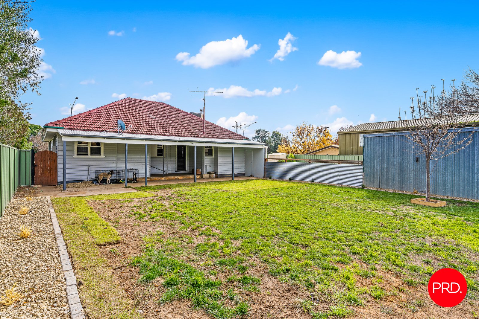 566 Napier Street WHITE HILLS 17