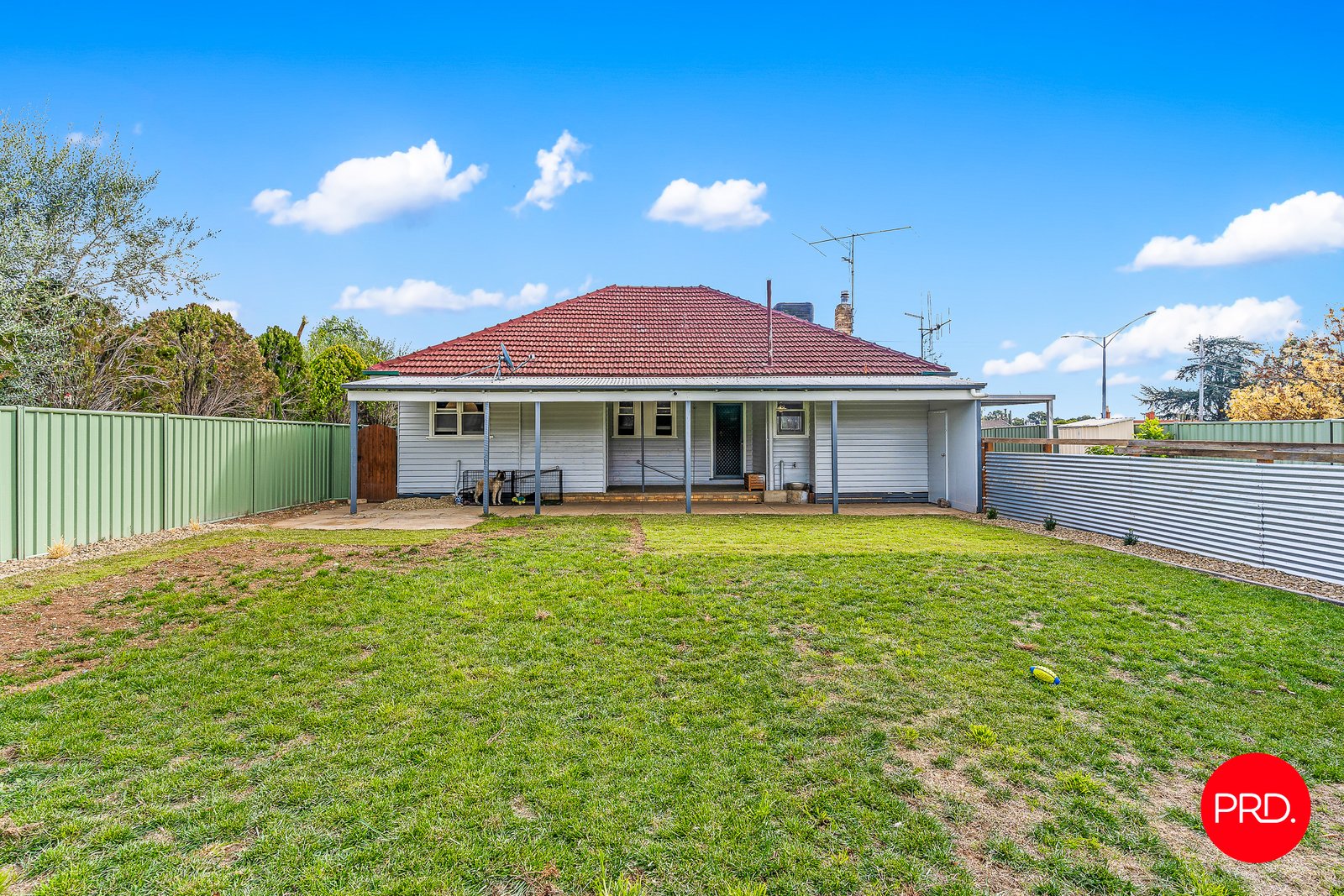 566 Napier Street WHITE HILLS 18