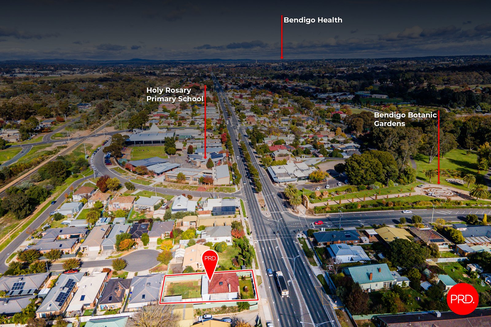 566 Napier Street WHITE HILLS 19