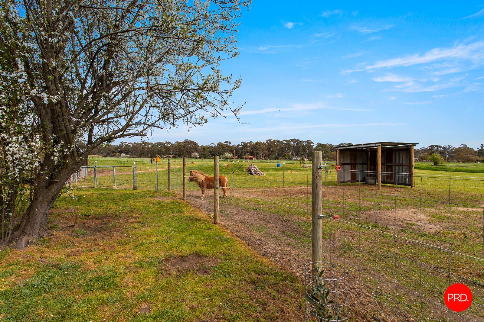 5693 Calder Highway KANGAROO FLAT 18