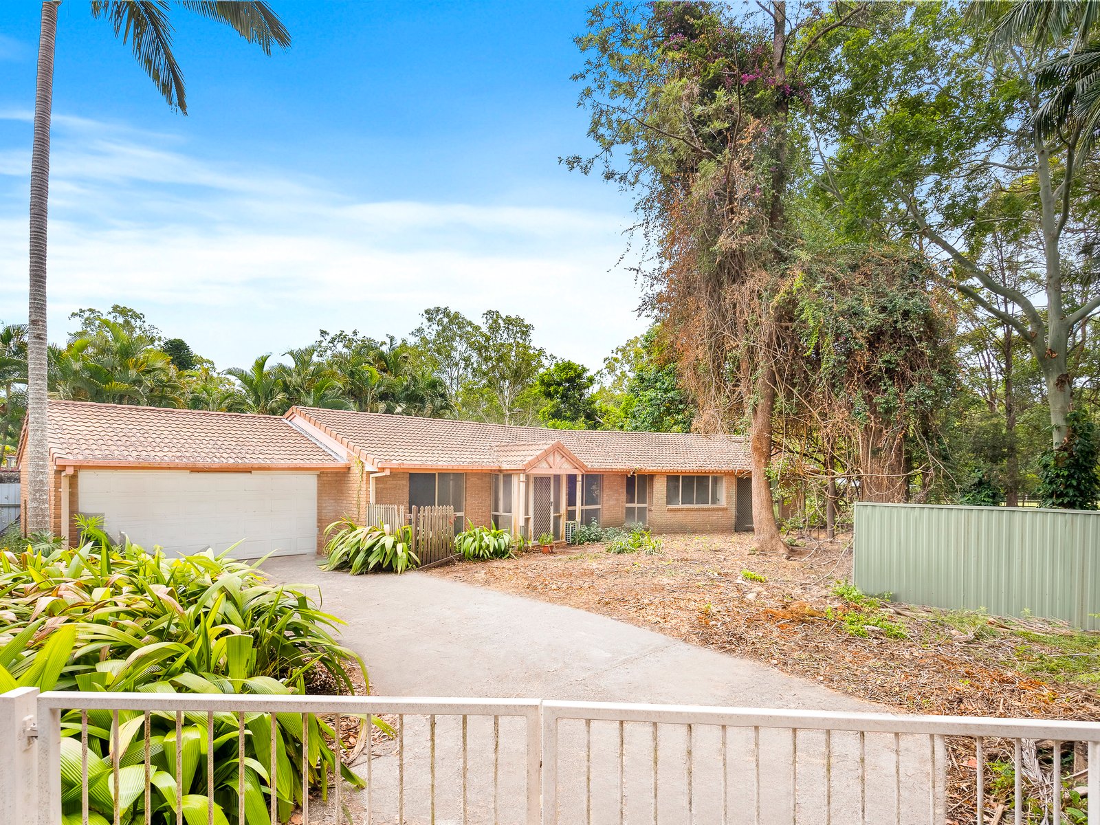56B Koola Drive NERANG 1