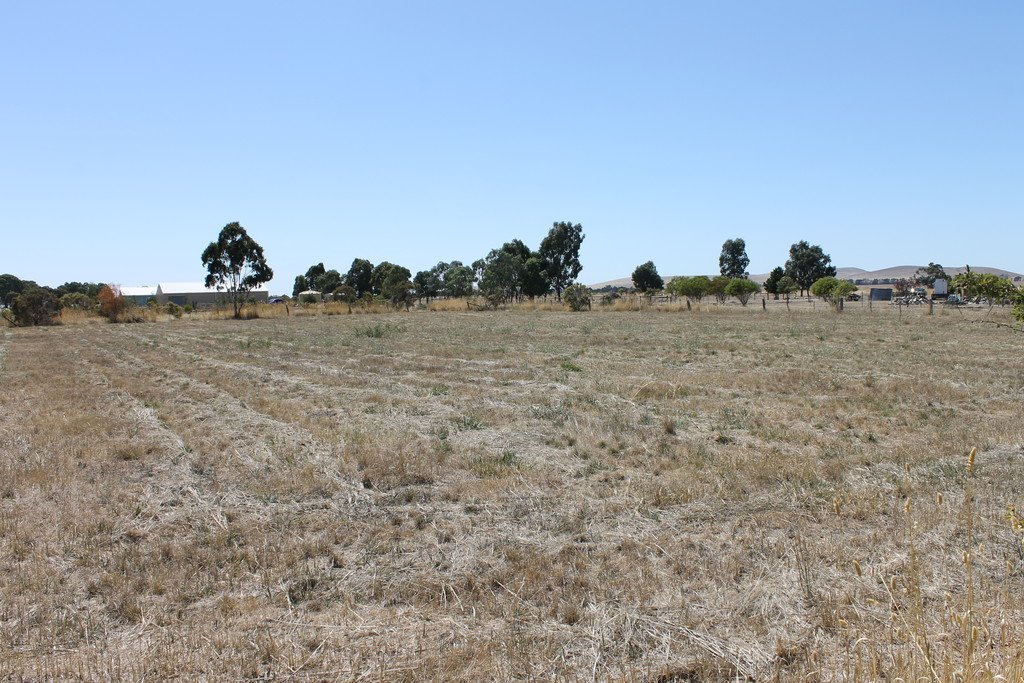 57 Albert Street CLUNES 1