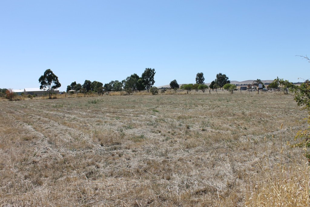 57 Albert Street CLUNES 2