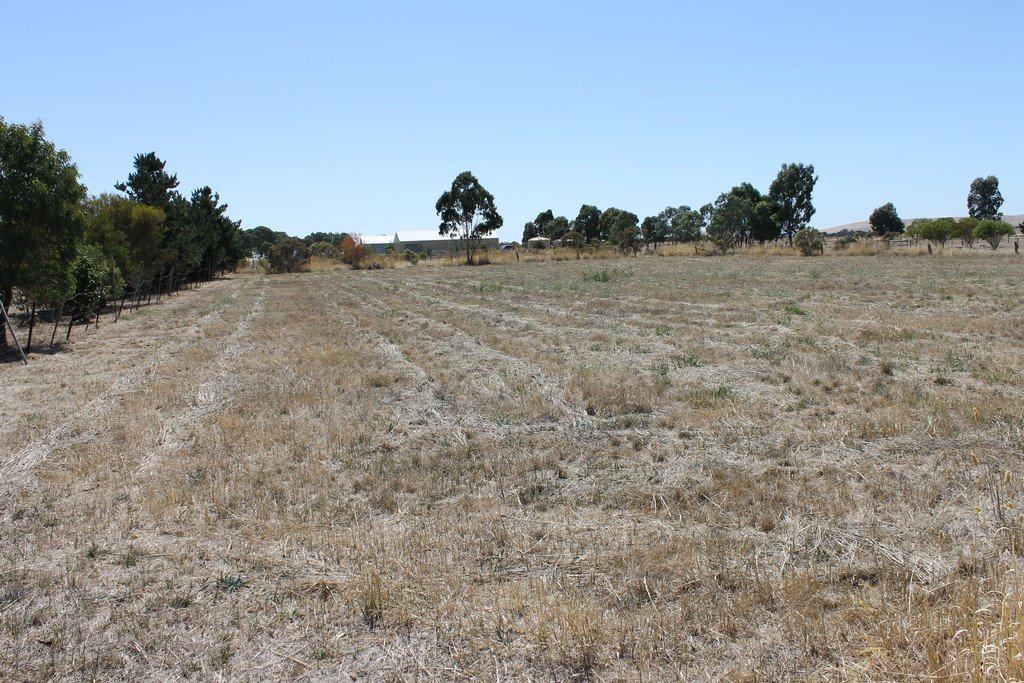 57 Albert Street CLUNES 3