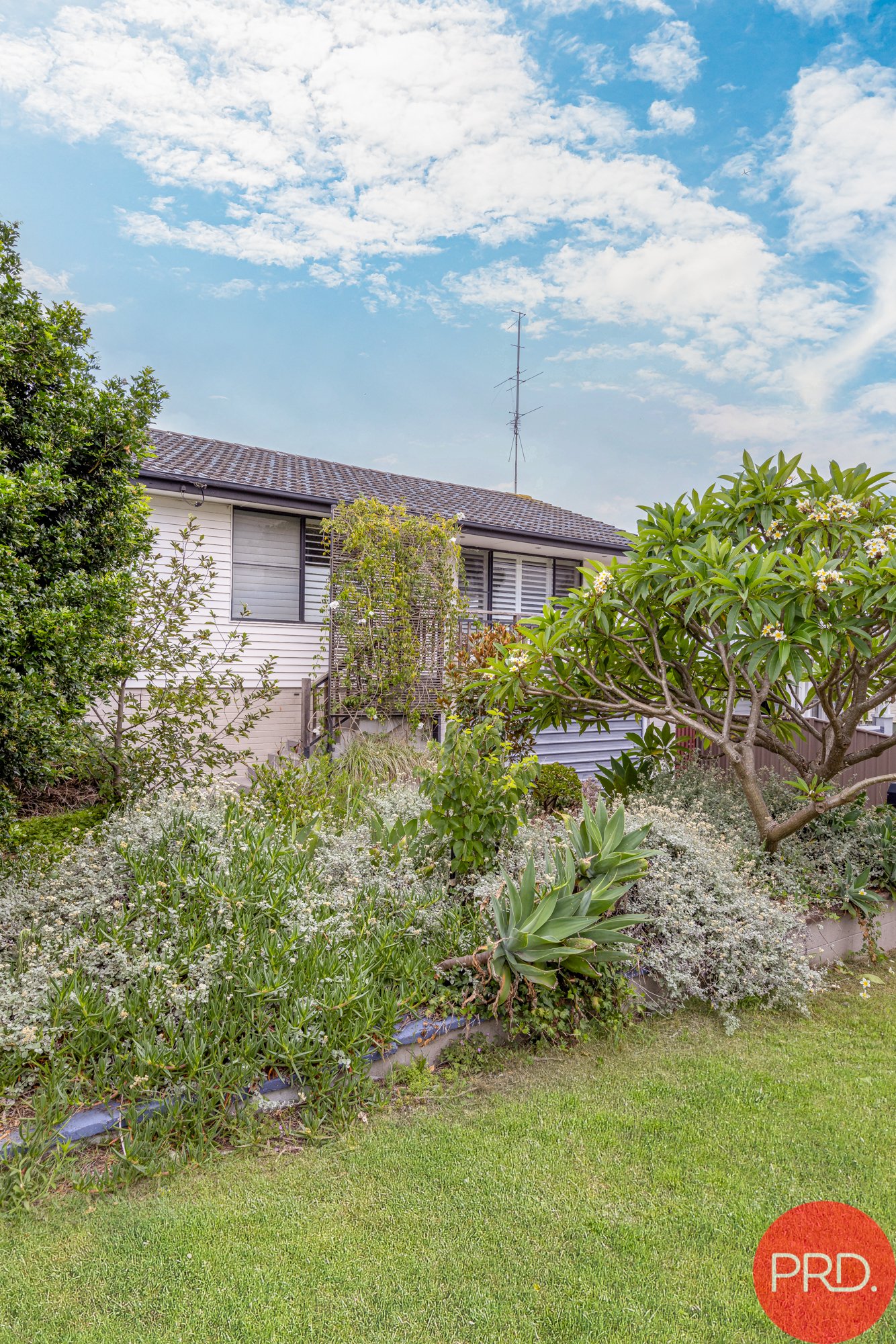 57 Appleton Avenue WESTON 15