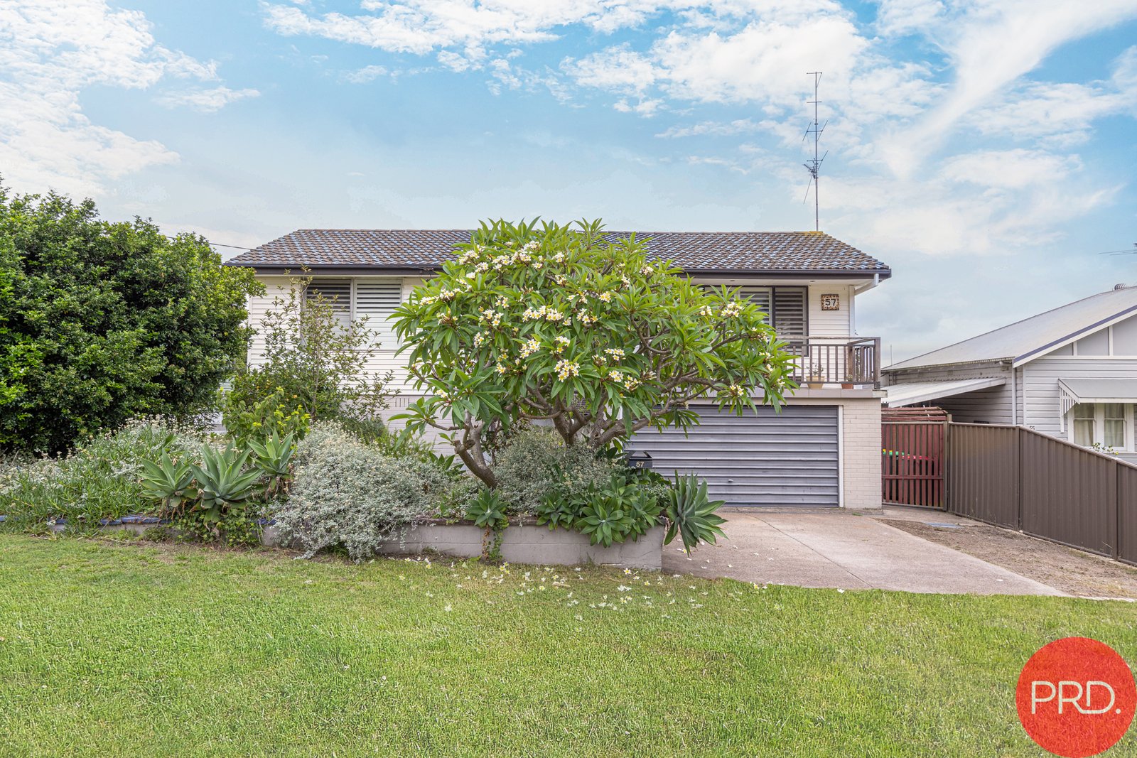 57 Appleton Avenue WESTON 20