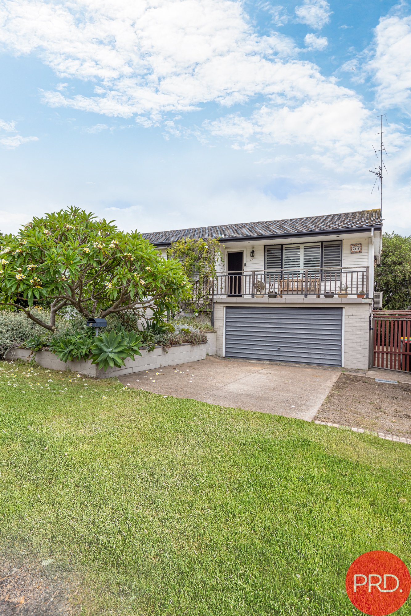 57 Appleton Avenue WESTON 31