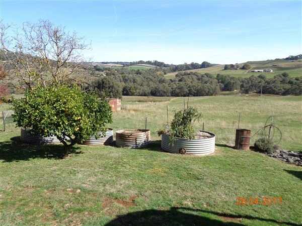57 Cemetery Road BATLOW 7